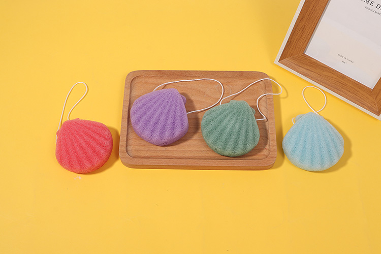 konjac-sponge-shell